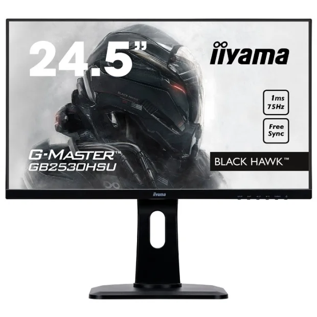 Монитор Iiyama ProLite GB2530HSU-B1